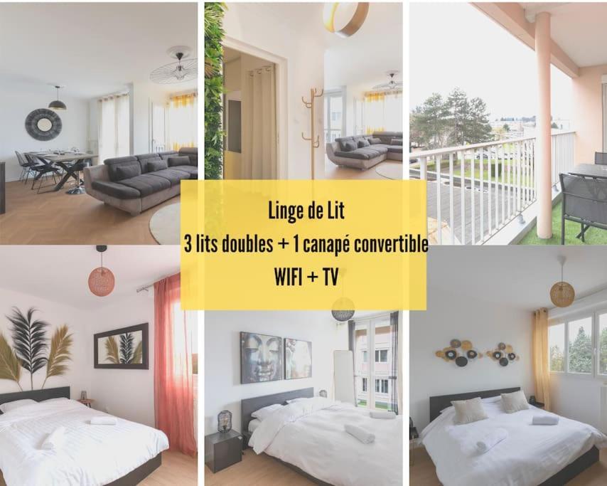 Cabana & Le Grand Appartement Lumineux Mâcon Buitenkant foto