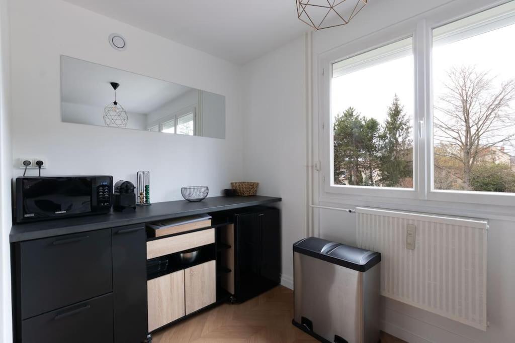 Cabana & Le Grand Appartement Lumineux Mâcon Buitenkant foto